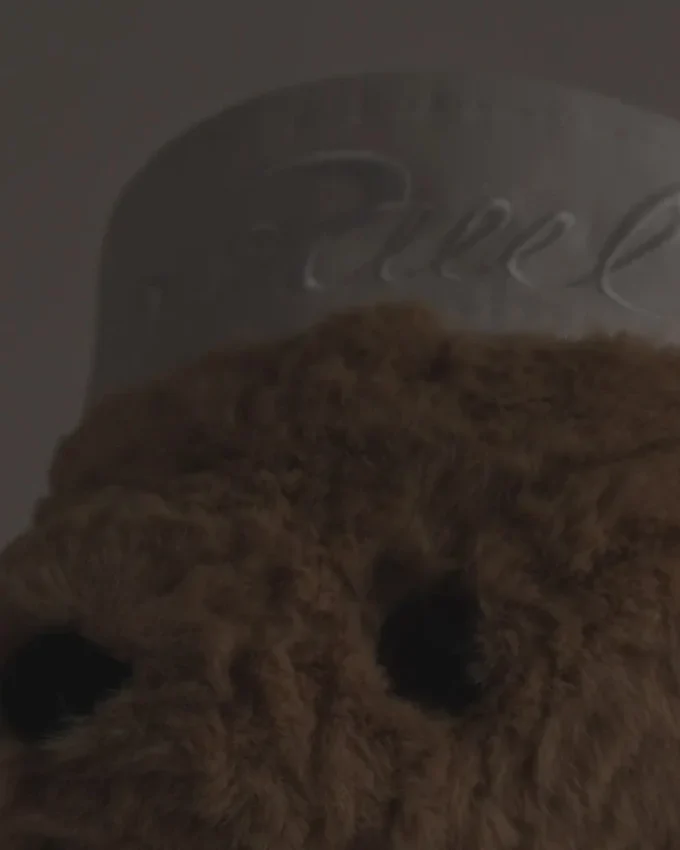Medvídek Nana